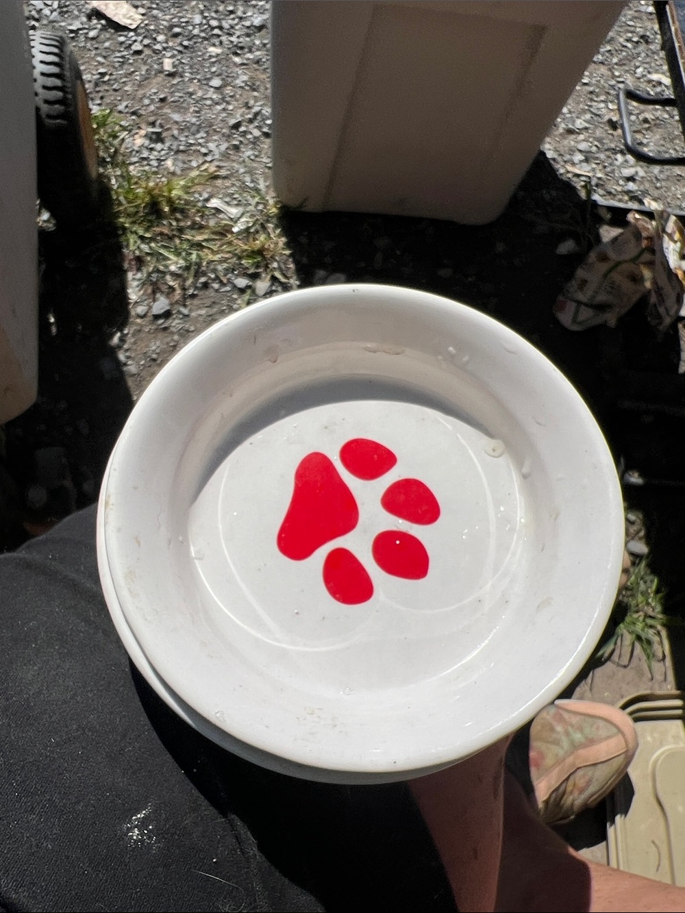 Dog dishes